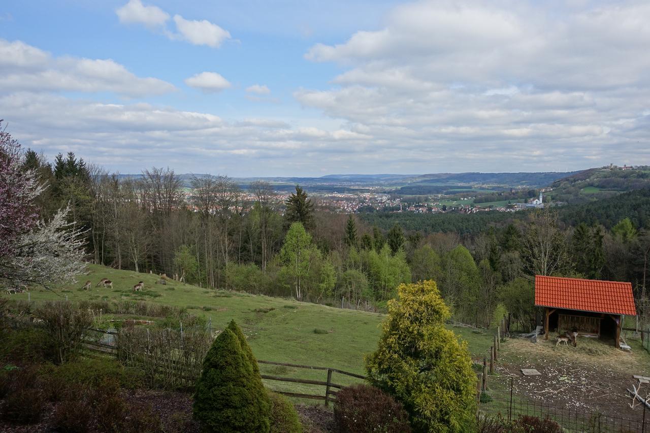 Hotel Gasthof Schonblick Neumarkt in der Oberpfalz Eksteriør billede